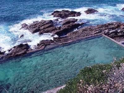 Moorhen Cove Otel Bermagui Dış mekan fotoğraf